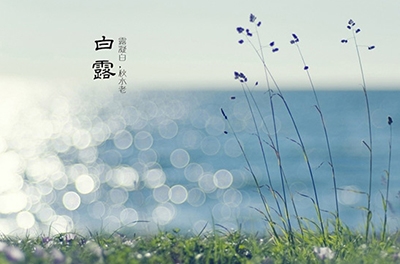 白露降，秋意濃