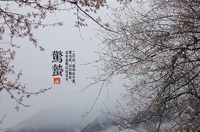 春雷起，驚蟄出